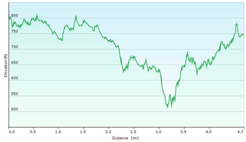 Beer Bottle Loop Elevation Graph