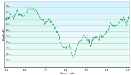Sonny's Downhill Loop Elevation Graph
