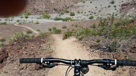 Kamakazi Downhill