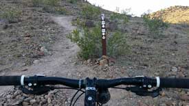 Left to climb Heart Attack Hill